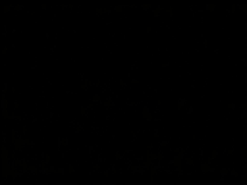 هایگلاس مشکی براق